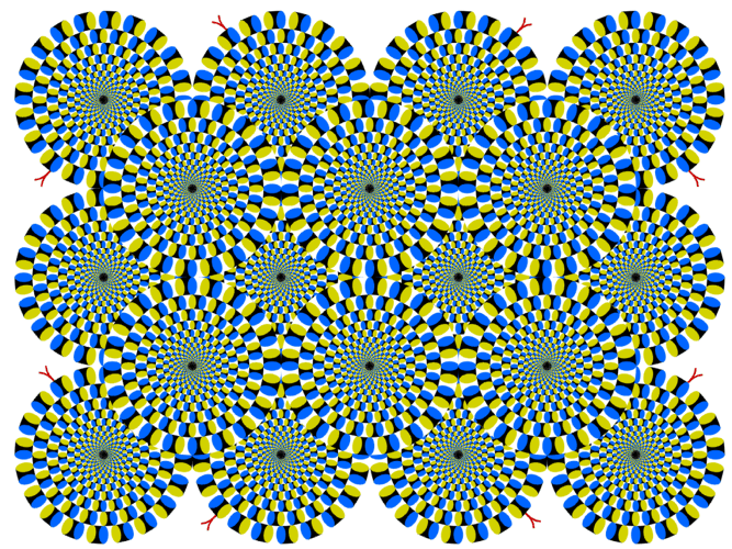 illusion peripheral drift 01.gif